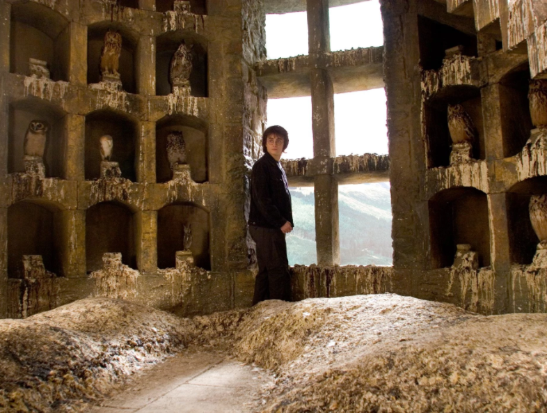 worst wizard jobs