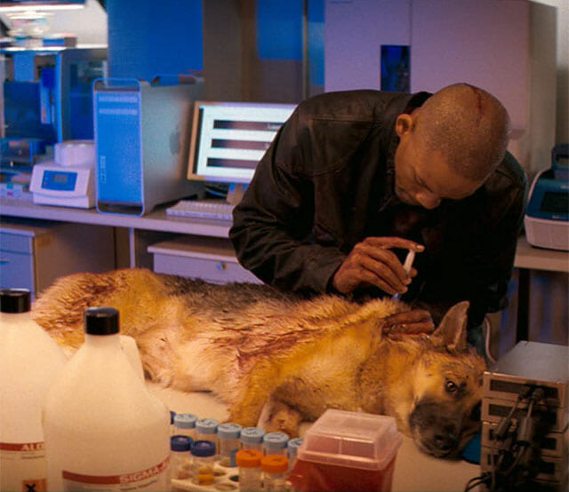 Saddest Animal Deaths