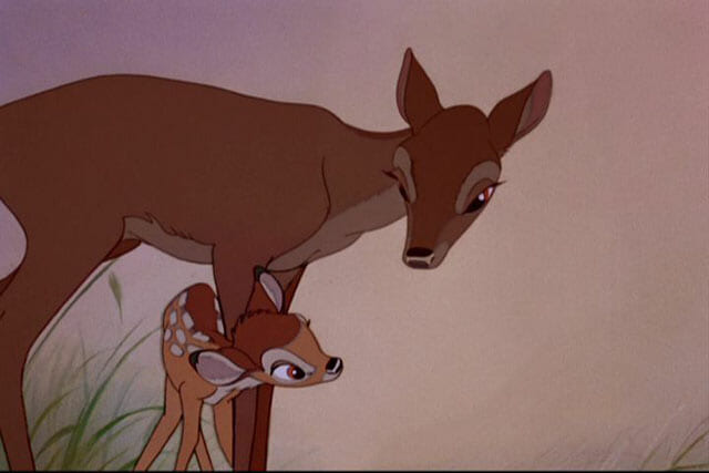 Saddest Animal Deaths