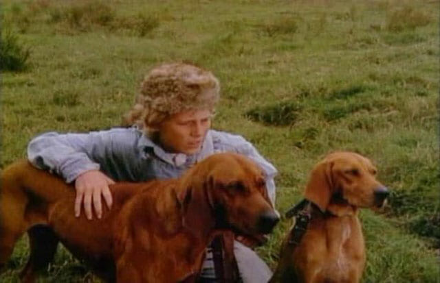Saddest Animal Deaths