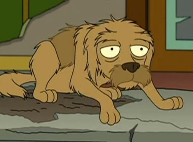 Saddest Animal Deaths