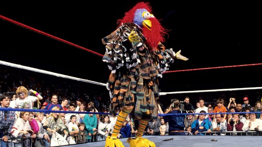 Wrestling Outfits