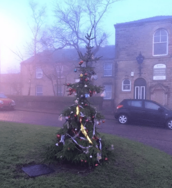 Sad Christmas Trees