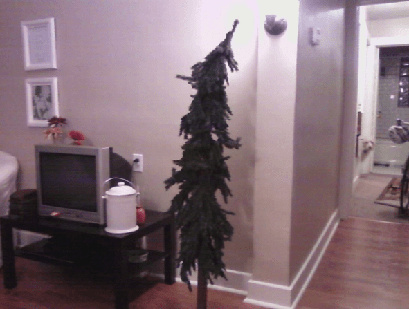 Sad Christmas Trees