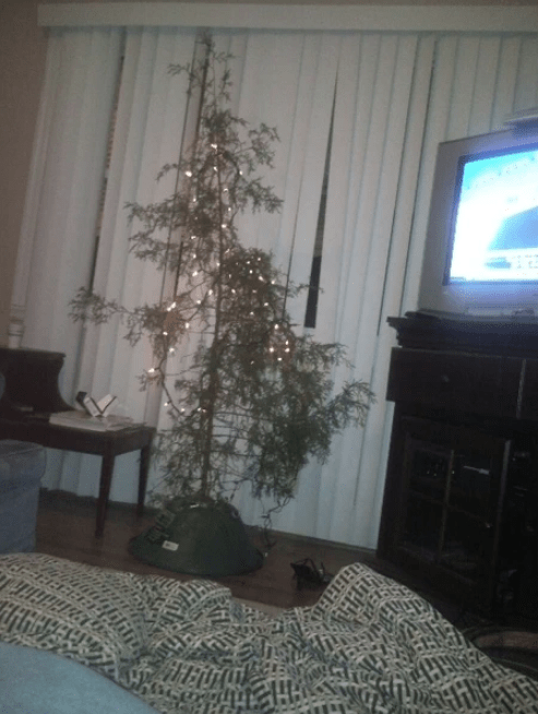 Sad Christmas Trees
