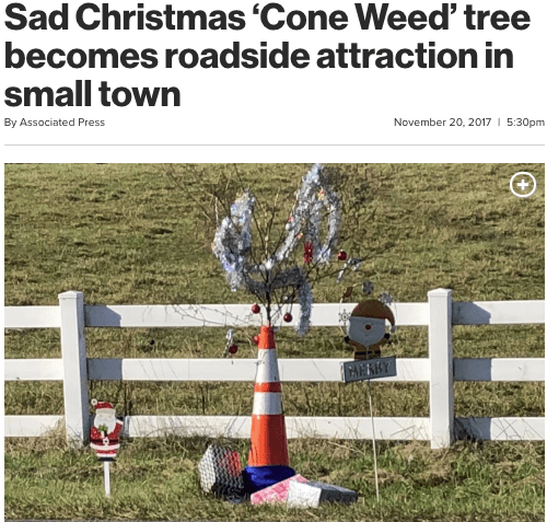 Sad Christmas Trees