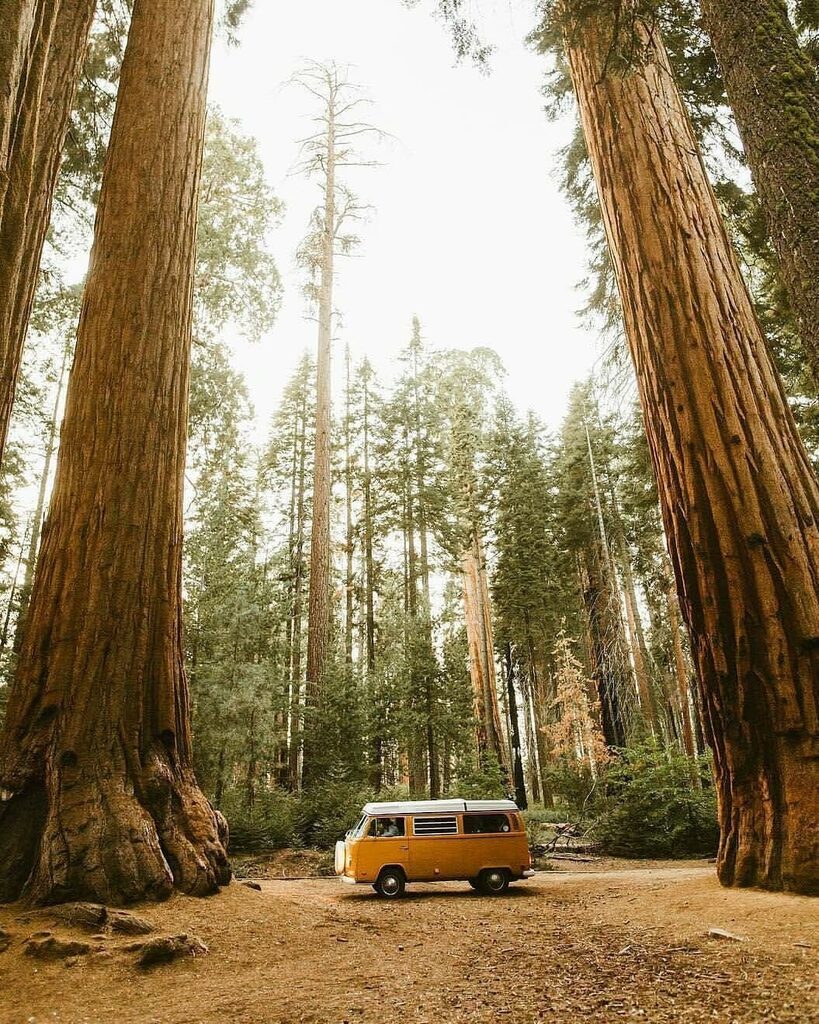 #vanlife