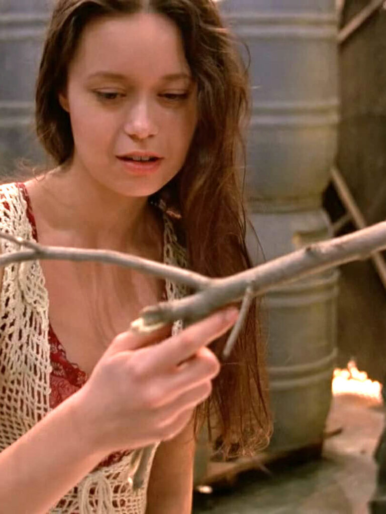 firefly series finale