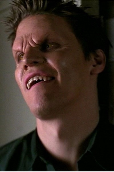buffy the vampire slayer