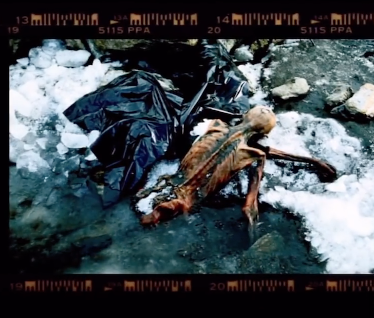 5300 year old iceman