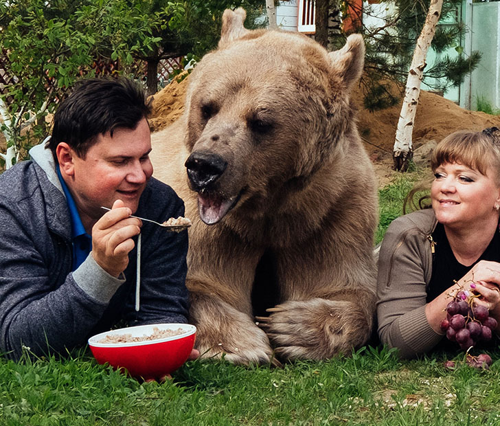 Russian couple adopted a bear