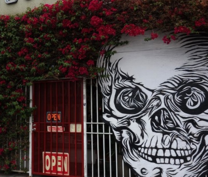 weirdest us museums