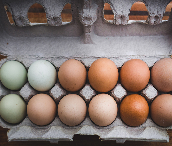Make scrambled eggs