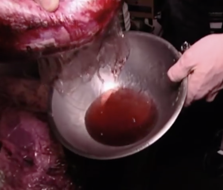 worst kitchen nightmares