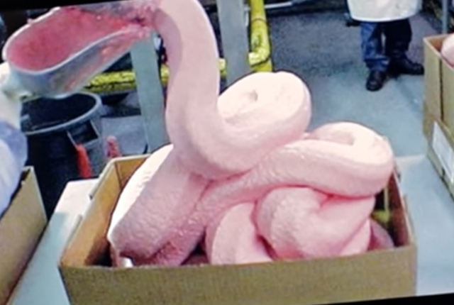 how chicken nuggets are made