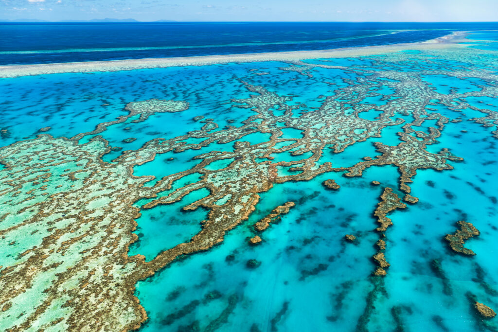 Great Barrier Reef.. Australia