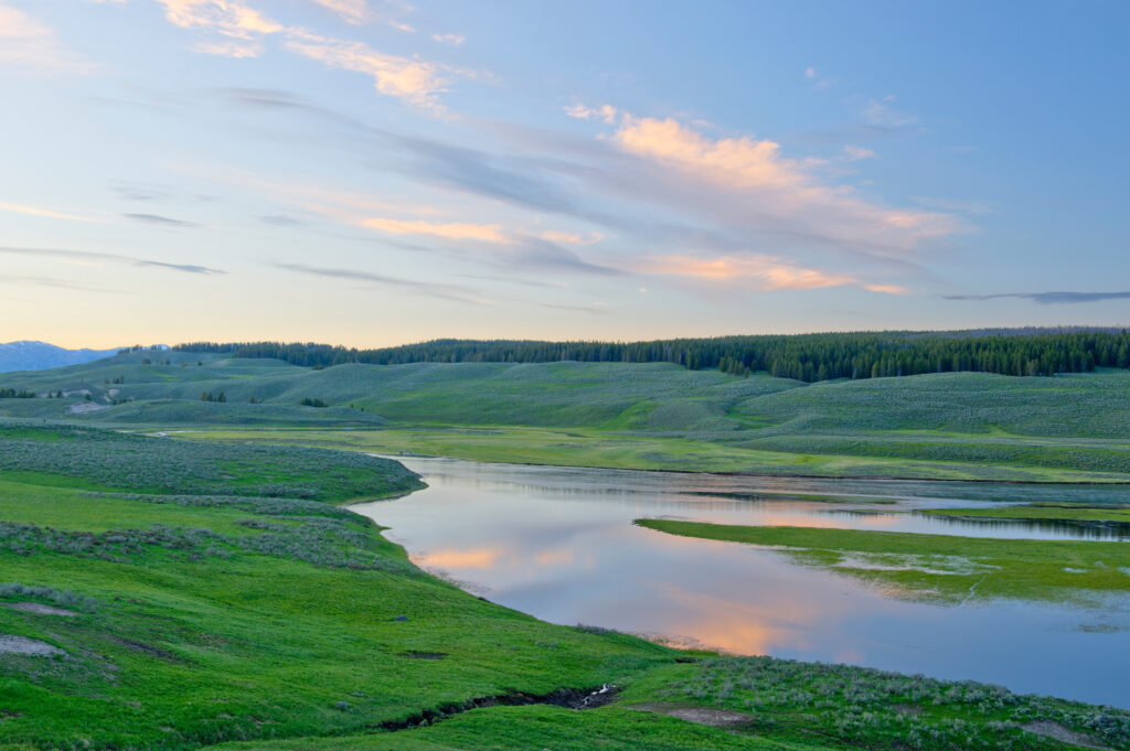 Hayden Valley, Yellowstone National Park