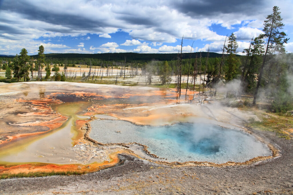 The scenery along the Firehole Lake Drive in Yellowstone