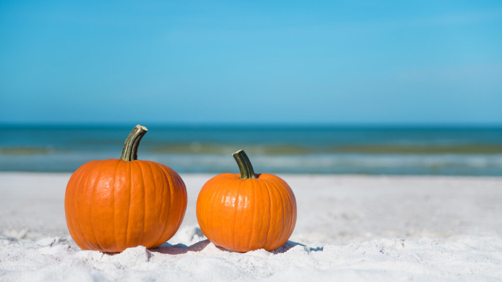 Autumn season composition. Pumpkin on the beach. Two pumpkins on sand beach shore. On background ocean water. Autumn in Florida. Fall season. Tropical nature.