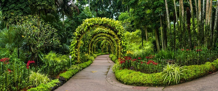 orchid arch in Singapore botanical gardens