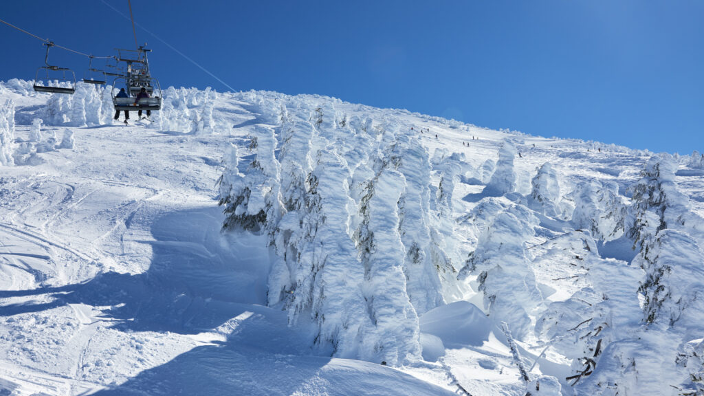 Frozen trees on the slopes of Mount Bachelor in Oregon.