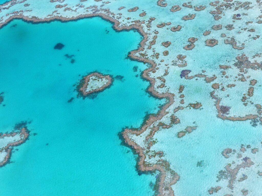 heart reef, australia, great barrier reef