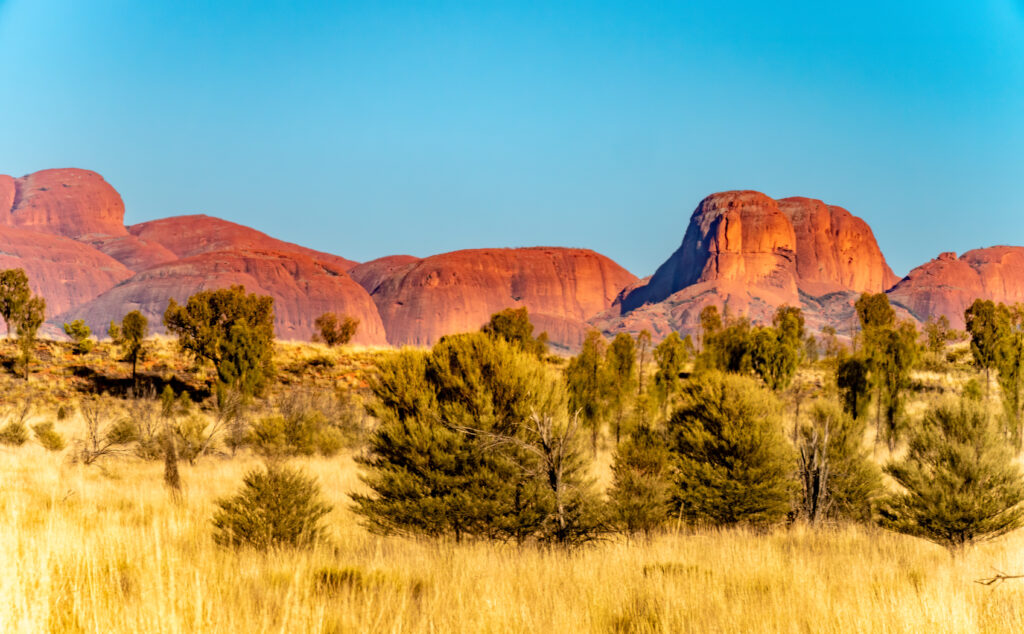 Kata Tjuṯa (many heads) or The Olgas, a group of domed rock formations (bornhardts) Uluru-Kata Tjuṯa National Park, Northern Territory, Australia