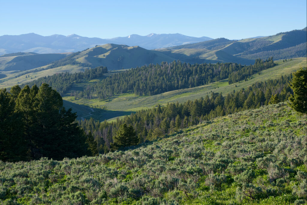 Looking East from Lemhi Pass