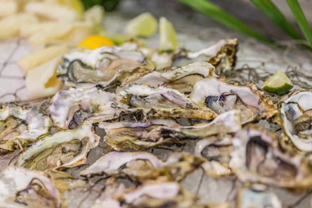 Oysters on ice in a buffet