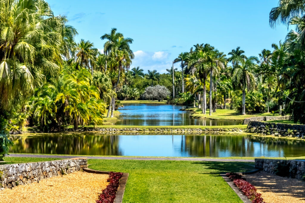 Palm Trees Reflection Fairchild Garden Coral Gables Florida
