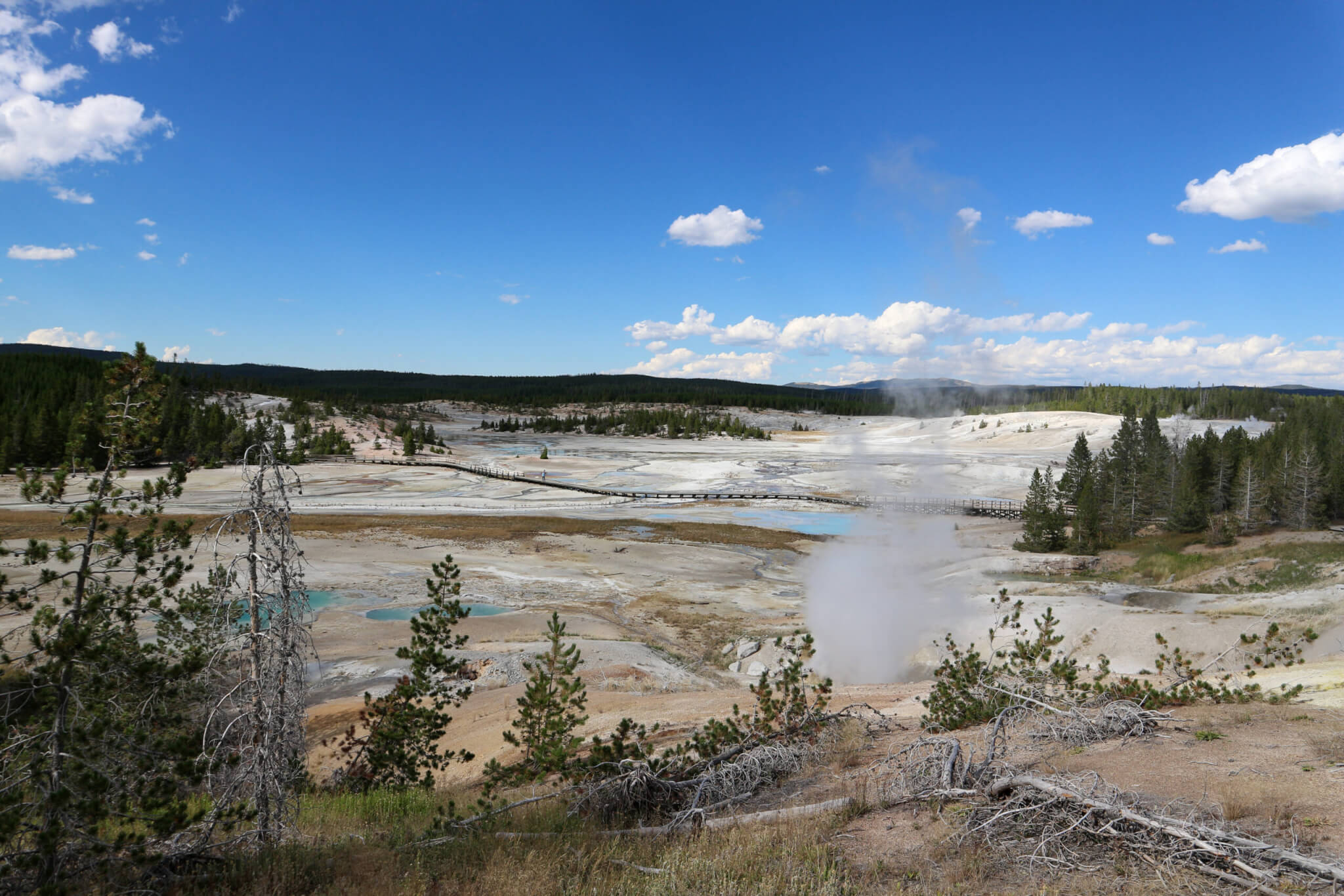 Scenic view of the norris geyser basin in yellowstone national park