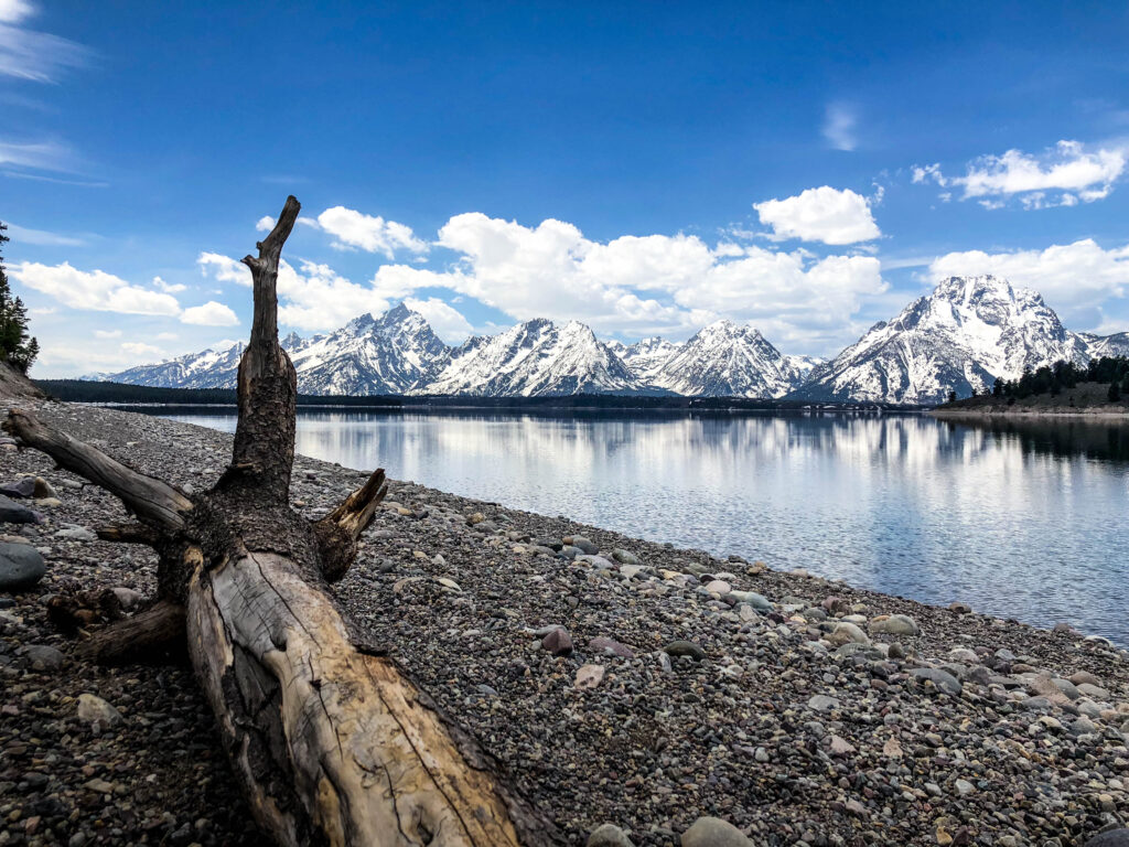 Teton range and lake jackson in wyoming