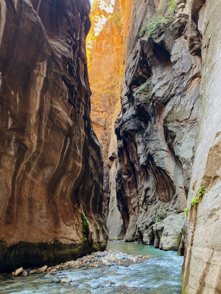 The narrows in zion national park