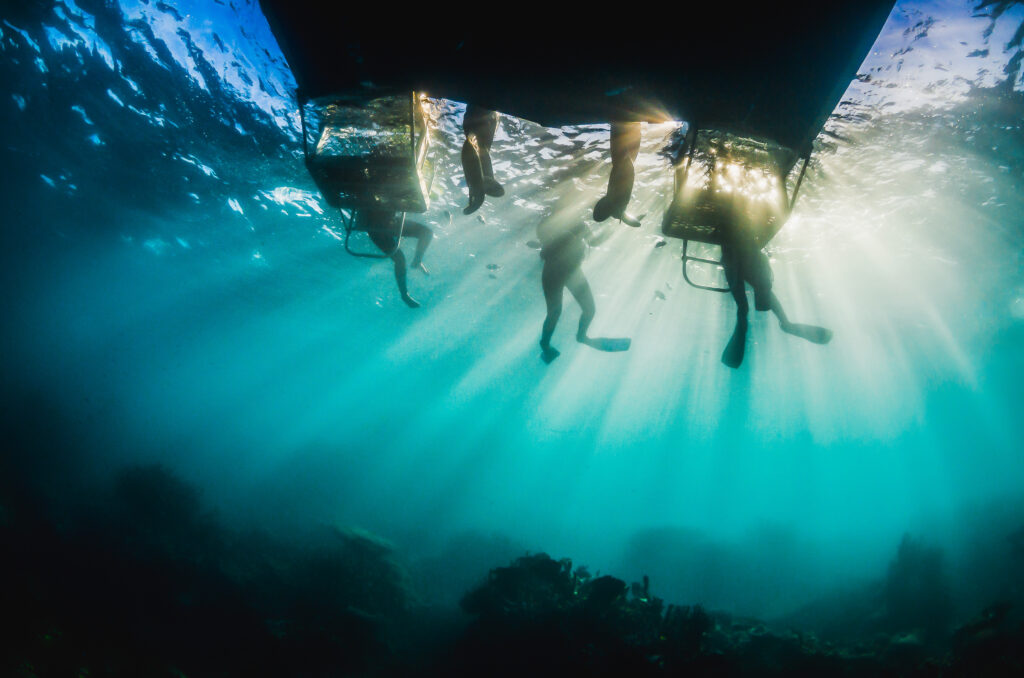 Underwater silhouette shot of scuba divers and a dive boat with golden sun rays shining through the surface