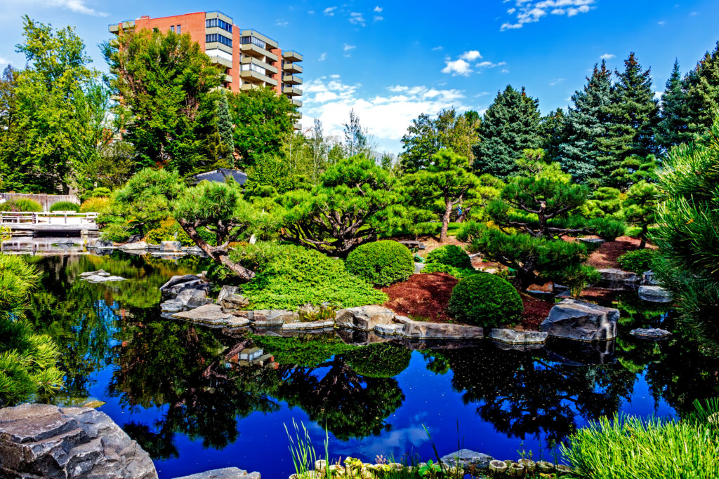View of the pond of the Botanical garden in Denver,United States.