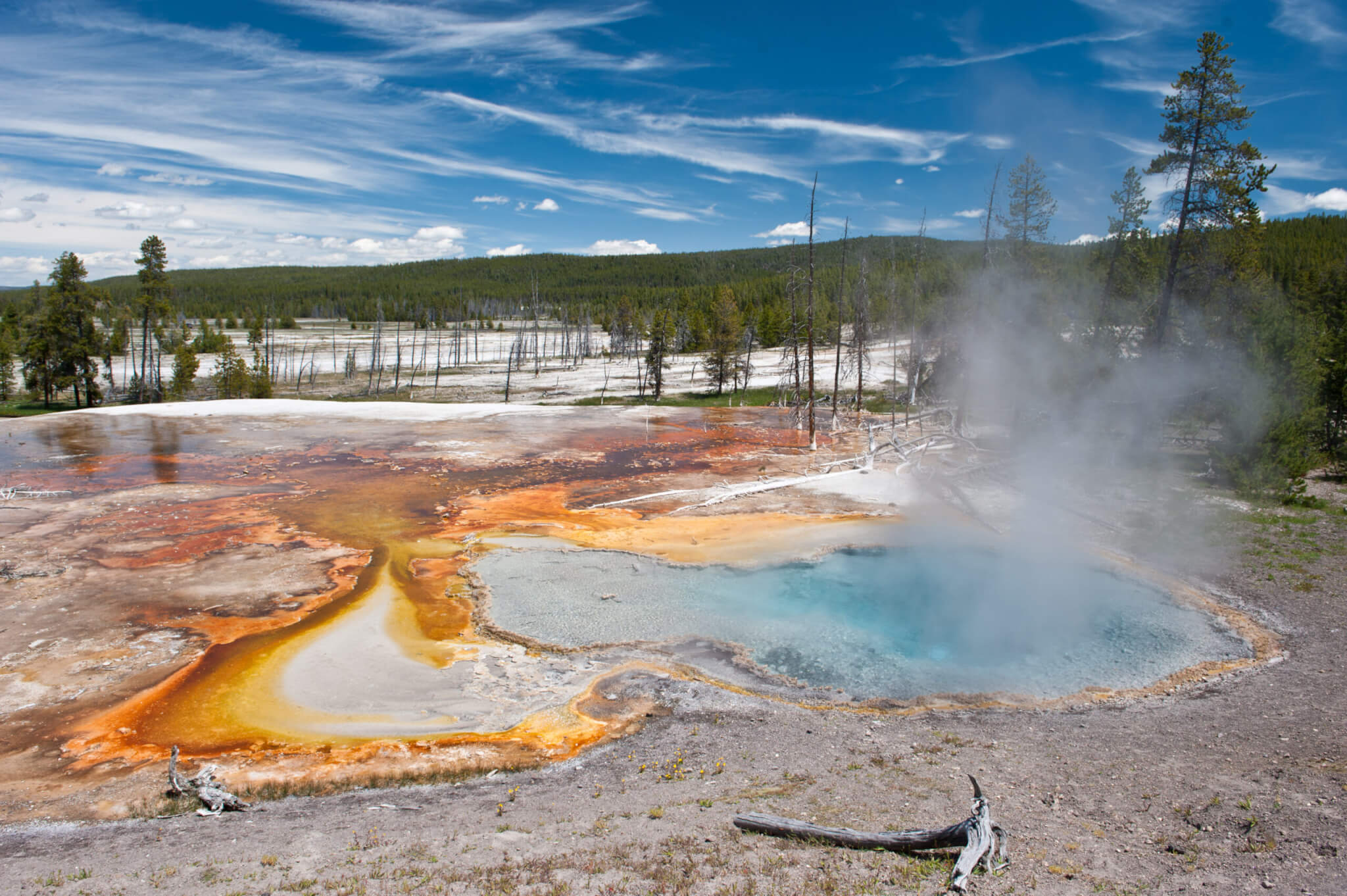 Yellowstone National Park, Lower Geyser Basin