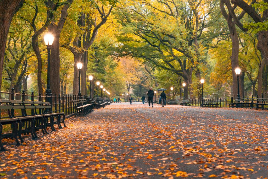 Crunchy leaves beneath my feet. Autum in Central Park, New York City.