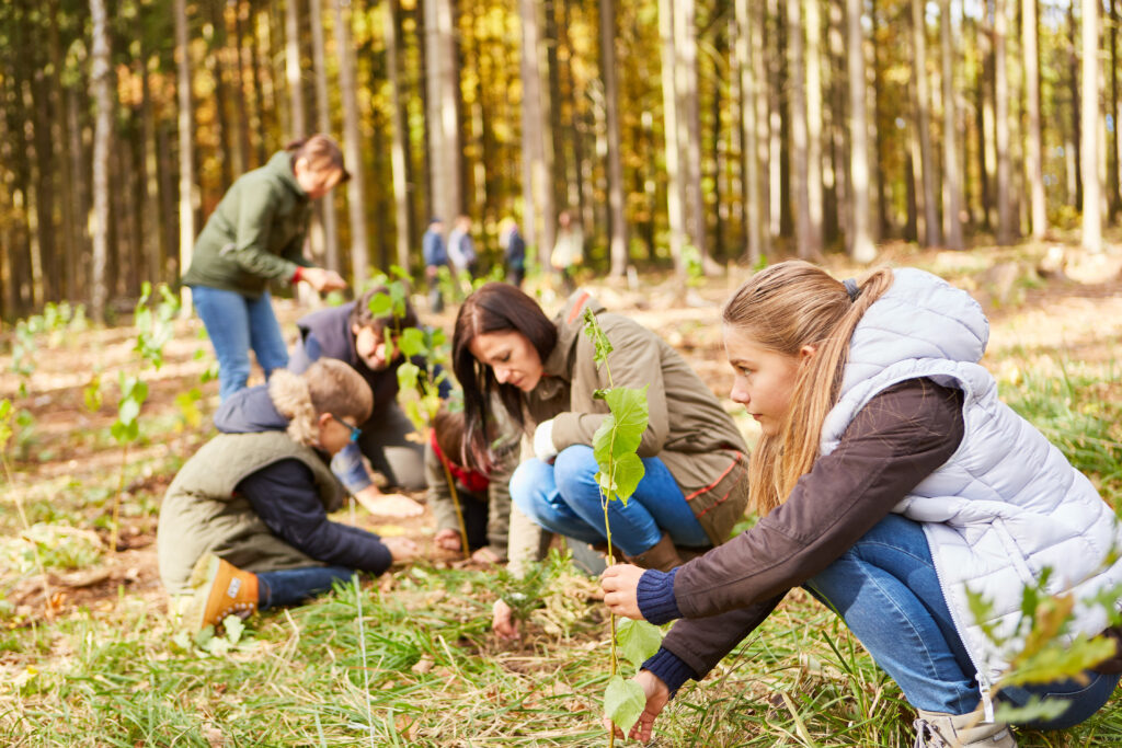 Family and volunteers plant trees in the forest