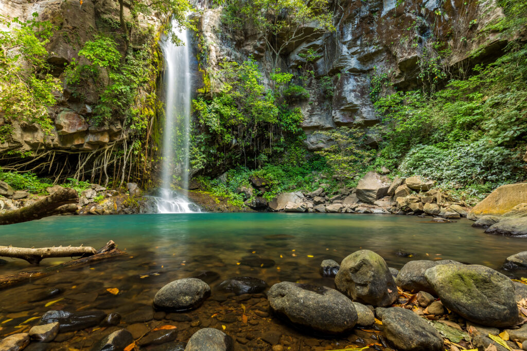 Hidden waterfall surrounded by green trees, vegetation, rocks, leaves floating on green and clear water, Catarata La Cangreja, Rincon de la Vieja National Park,  Guanacaste, Costa Rica