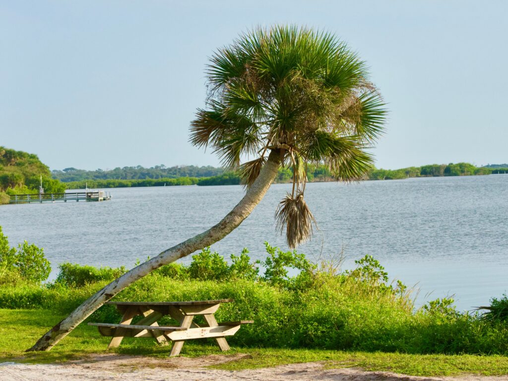 Let's have a picnic at Cape Canaveral National Seashore