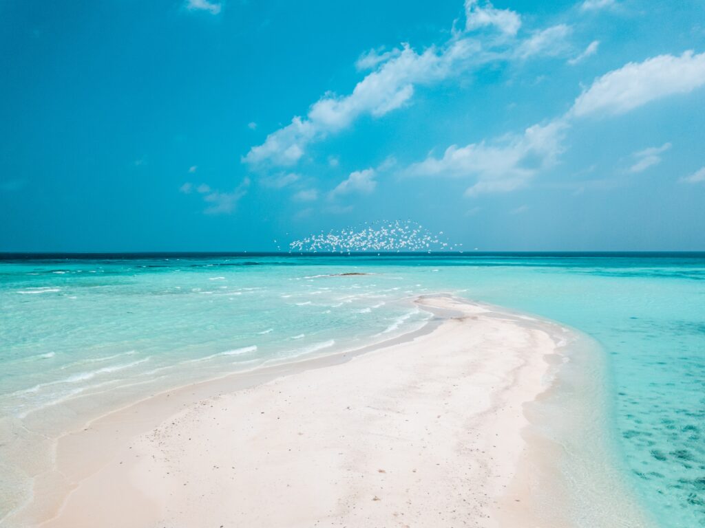 Sandbank and tropical lagoon in the Maldives
