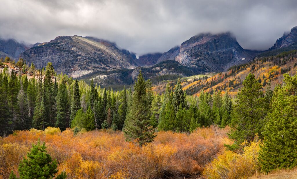 This photo was taken just off of Storm Peak Trail in Rocky Mountain National Park.  The weather was moving in as it often does in the afternoon and wanted to capture the moody sky along with the vibrant fall colors.