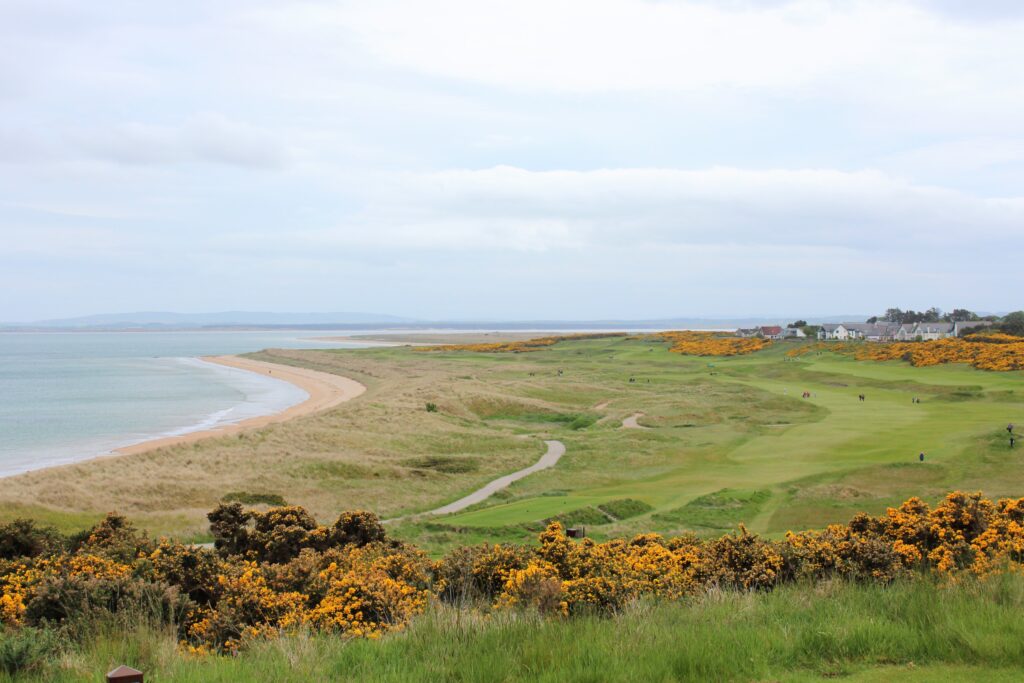 An incredible view of a golf hole in Scotland with the ocean in the background in Dornoch, in the highlands of Scotland during spring with the gorse bush in full yellow bloom