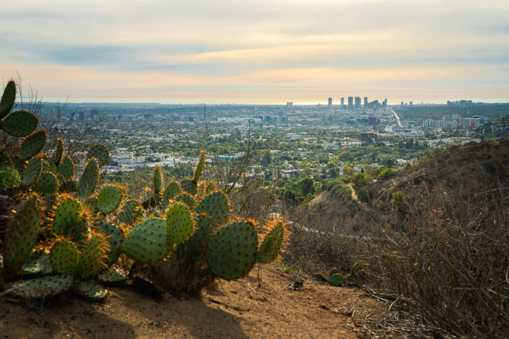 Beautiful view of Santa Monica city from Runyon Canyon Park. Pacific ocean on a horizon, and colorful sky during sunset