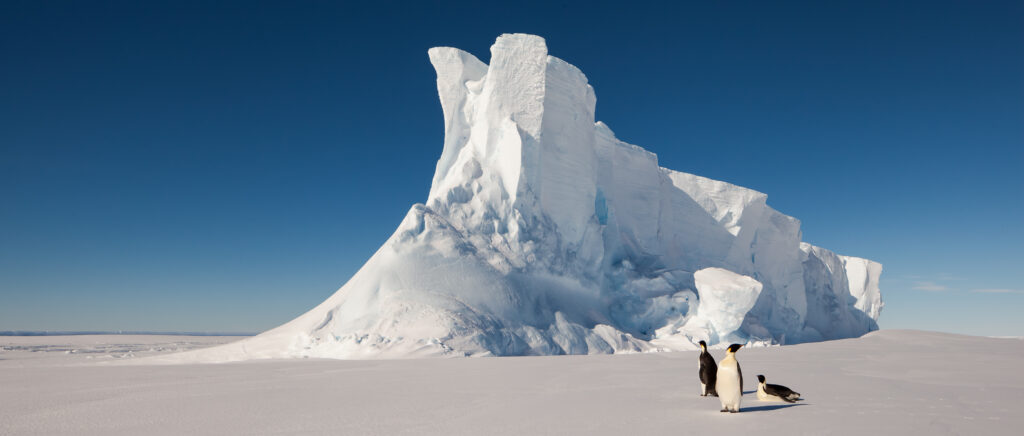 Emperor penguins in front of massive iceberg