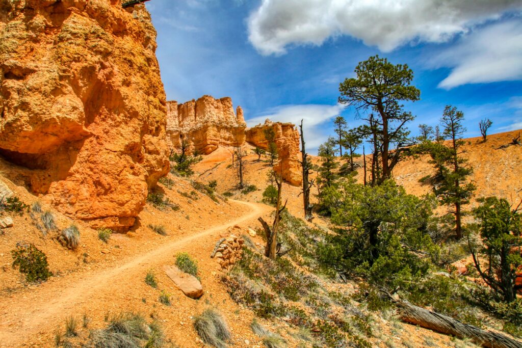 Foot trail in bryce canyon national park