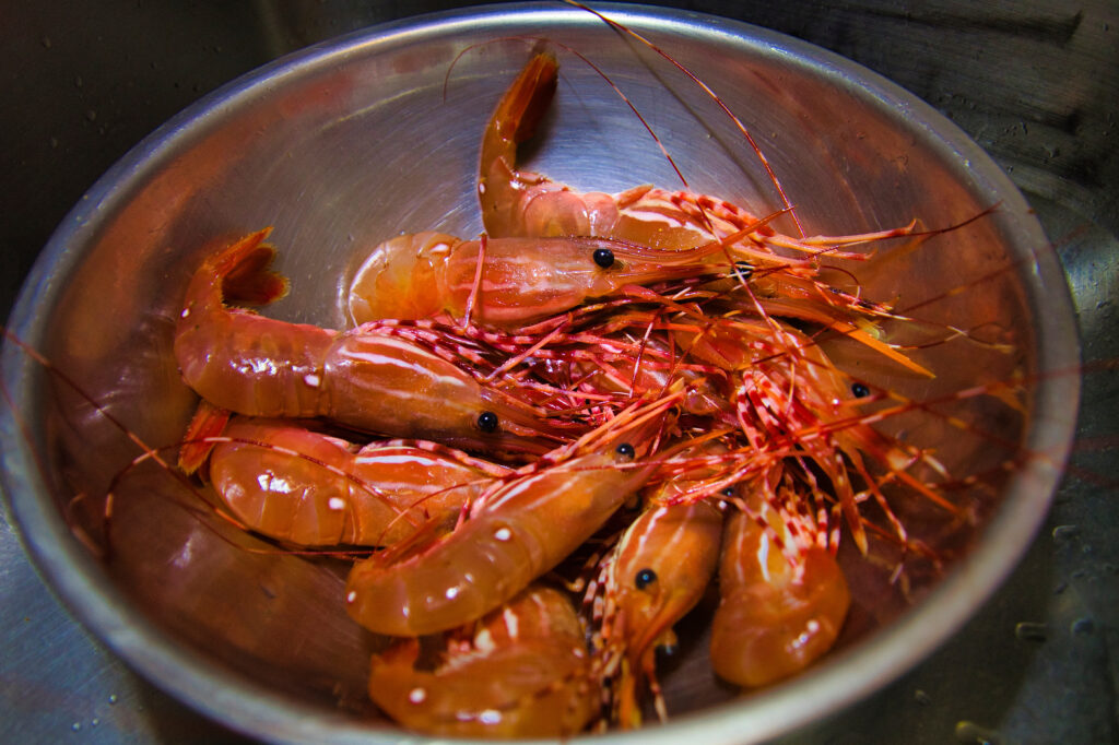 Fresh spotted prawn sold at Steveston fisherman's wharf.  Richmond BC Canada