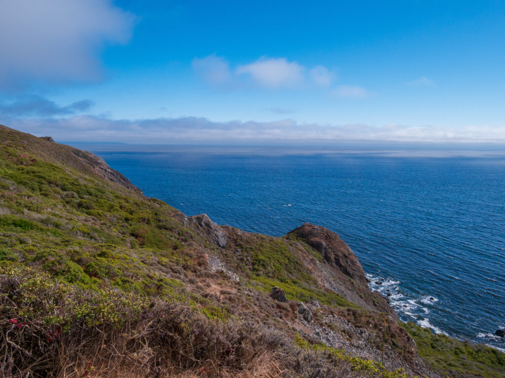 Northern coastal scrub along ocean near Muir Beach, Golden Gate Recreation Area Califorina