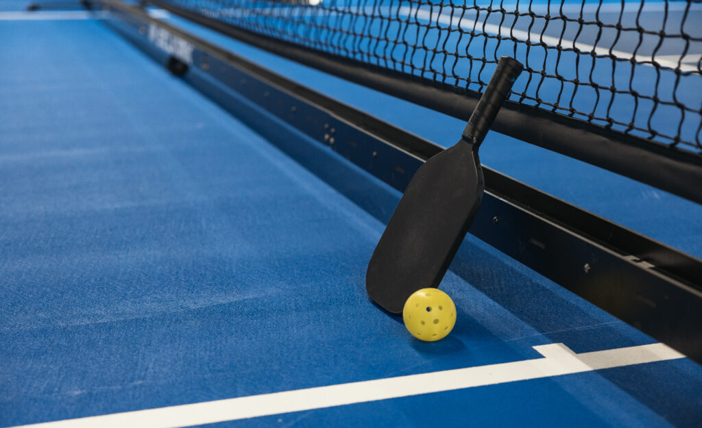 Pickleball paddle ball court net