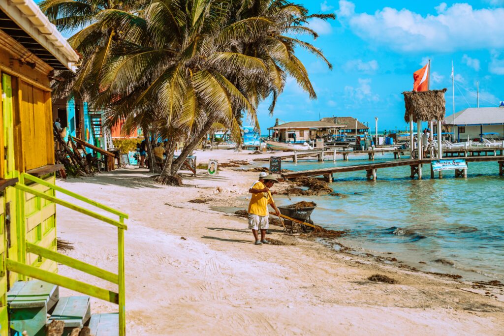 Raking up seaweed to clean up the shoreline of Ambergris Caye.